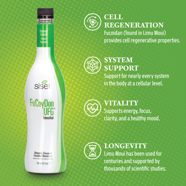 FuCoyDon UFG (4 Pack) – Liquid Fucoidan Supplement | Sisel